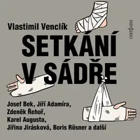 Setkání v sádře - Vlastimil Venclík - audiokniha