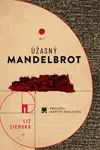 Úžasný Mandelbrot - Liz Ziemska - e-kniha