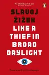 Like A Thief In Broad Daylight - Slavoj Žižek