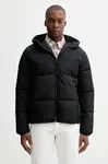 Hollister Co.  Bunda