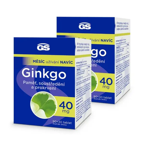 GS Ginkgo 40 mg, 2 × 120 tablet