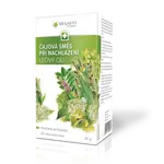 Megafyt Čajová směs při nachlazení 20 nálevových sáčků