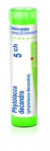 Phytolacca Decandra 5CH gra.4g