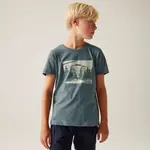 Dětské bavlněné tričko regatta bosley viii modrošedá 176