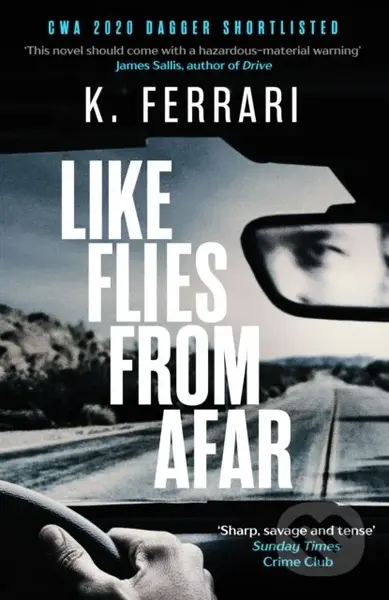 Like Flies from Afar - K. Ferrari - kniha z kategorie Detektivky, thrillery a horory