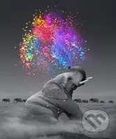 Malování podle čísel - Slon a barvy