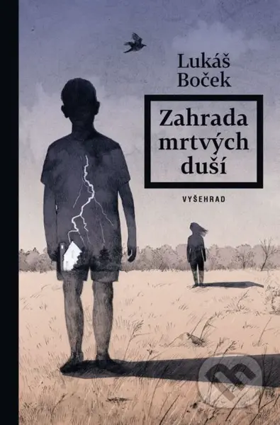 Zahrada mrtvých duší - Eva Bartošová (ilustrátor), Lukáš Boček - kniha z kategorie Společenská beletrie