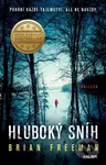 Hluboký sníh (Pohřbí každé tajemství. Ale ne navždy.) - kniha z kategorie Thrillery