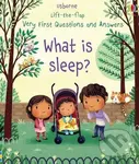 What is Sleep? - Katie Daynes, Marta Alvarez Miguens (ilustrácie)
