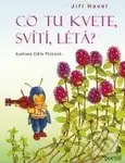 Co tu kvete, svítí, létá? - Jiří Havel - kniha z kategorie Pro děti