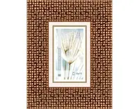 Fotorámik Glamour 10x15 cm, medený%