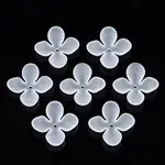 Transparent Acrylic Beads