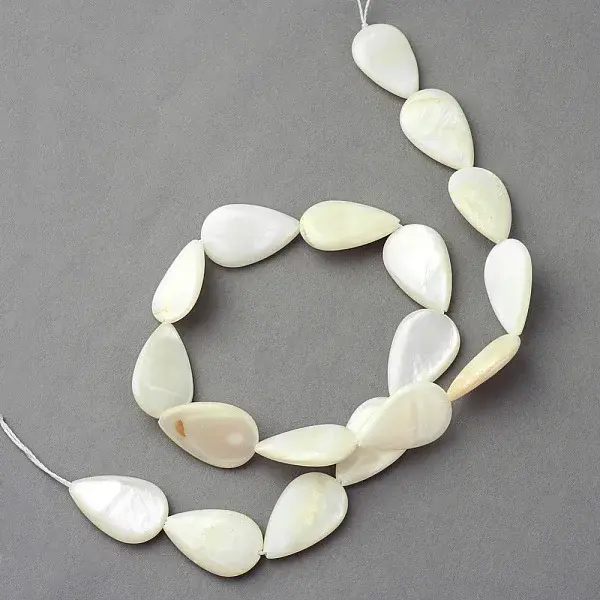 Natural Sea Shell Beads Strands