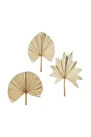 Nástěnná dekorace Madam Stoltz Palm Leaves 60-70 cm 3-pack béžová barva