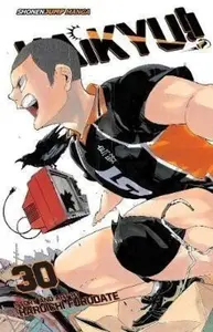 Haikyu!! 30 - Haruichi Furudate