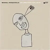 Meshell Ndegeocello – The Omnichord Real Book LP