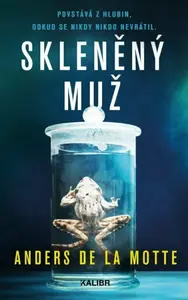 Skleněný muž (poškozená) - Anders de la Motte