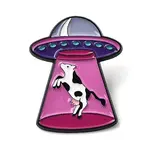Enamel Brooches