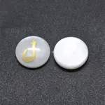 Shell Cabochons