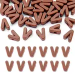 Opaque Acrylic European Beads