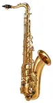 Arnolds & Sons ATS-100 (použité)