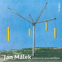 Různí interpreti – Sinfonia su una cantilena CD