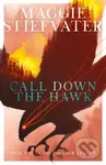 Call Down the Hawk - Maggie Stiefvater - kniha z kategorie Beletrie pro děti