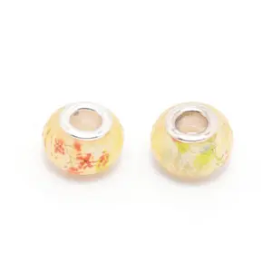 Resin European Beads