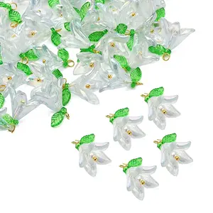 50Pcs Transparent Acrylic Pendants