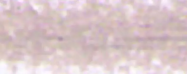 Suchý pastel Renesans – 99 Šeď růžová