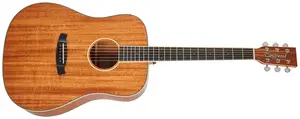Tanglewood TUN5