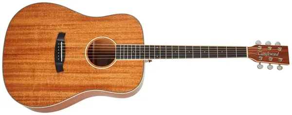 Tanglewood TUN5