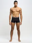 Boxerky Big Star Man 200033 906