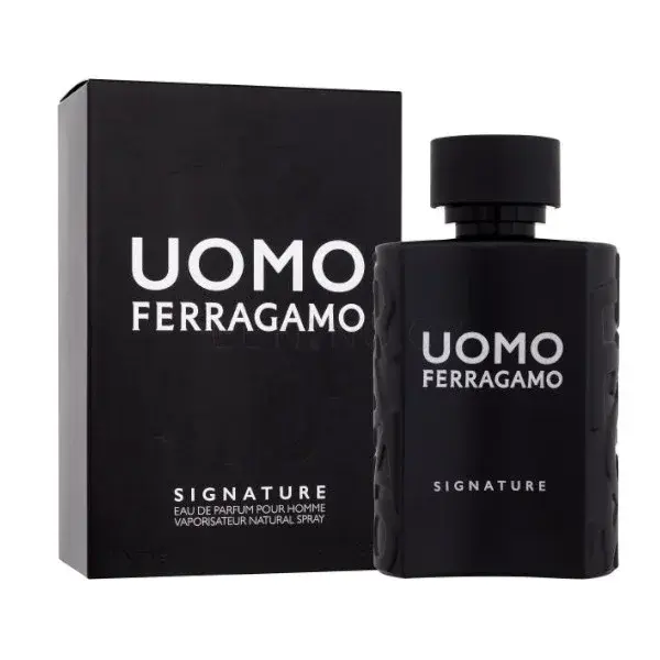 Salvatore Ferragamo Uomo Signature - EDP 100 ml