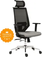 ANTARES Ergonomická kancelářská židle EDGE šedá – pro dlouhé sezení 8–12 h