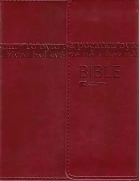 Bible