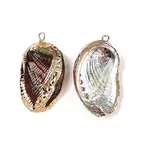 Natural Paua Shell Pendants