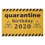 2020 Quarantine Birthday Decorations