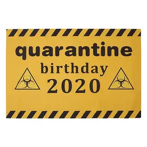 2020 Quarantine Birthday Decorations