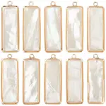 10Pcs Natural Paua Shell/Abalone Shell Pendants