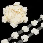 Polyester Lace Ribbon