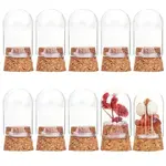 10Pcs Glass Dome Cover