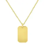 Brilio Silver Pozlacený náhrdelník Psí známka NCL201Y (řetízek, přívěsek)