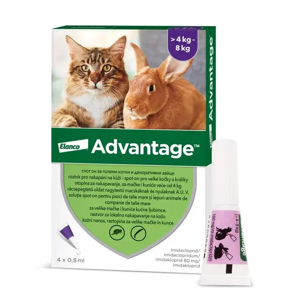 Advantage 80mg velké kočky a králíci spot-on 4x0.8ml