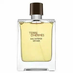 Hermes Terre D'Hermes Eau Intense Vetiver parfémovaná voda pro muže 100 ml