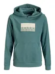 Jack & Jones Junior Mikina 'JCOFusion'  piesková / jedľová