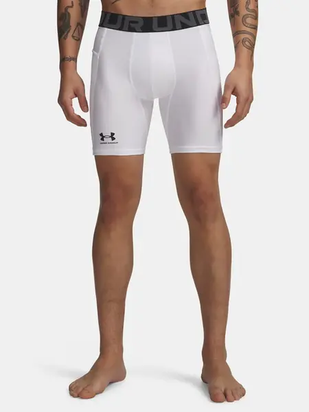 Pánske kraťasy Under Armour