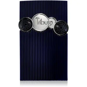 Afnan Tribute parfémovaná voda pro muže 100 ml