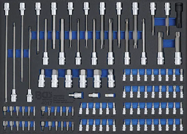 BGS technic Modul - hlavice TORX, imbus, XZN, RIBE 101ks - BGS