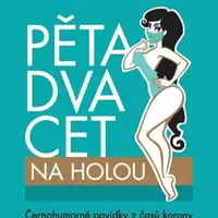 Pětadvacet na holou - Josef Provazník